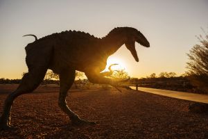 Australian Dinosaur Trail - Accommodation Cairns