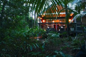 Songbirds Rainforest Retreat - Accommodation Cairns